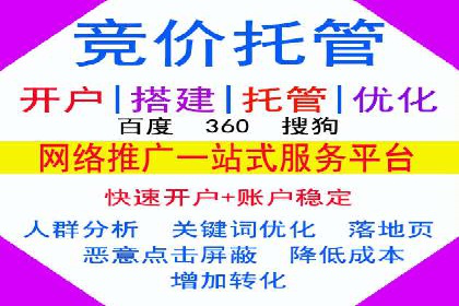 某公司SEM推广的失败教训与成功经验